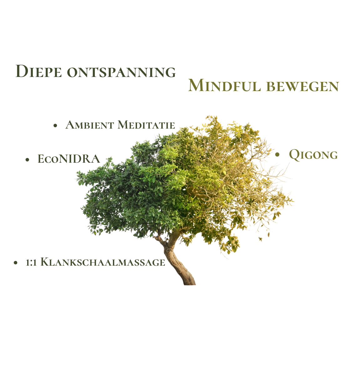 Overzicht puremindful